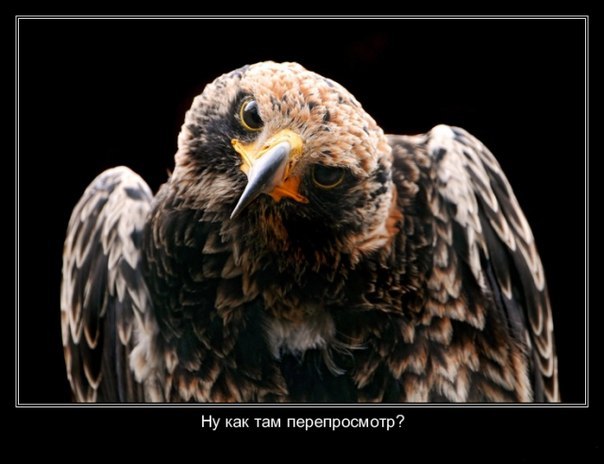 орел